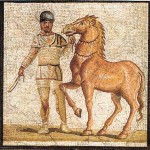 A charioteer of FACTIO ALBATA.